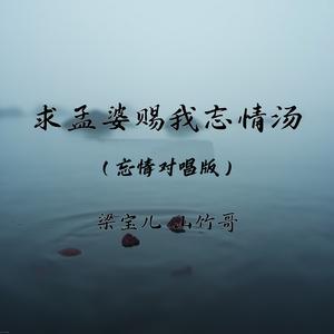 求孟婆赐我忘情汤(忘情对唱版)