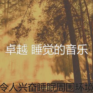 一尘不染做梦印象数