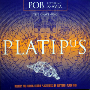 The Awakening (Seismix)