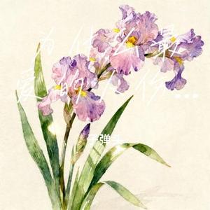 为什么最爱的人伤我最深 (Remix)