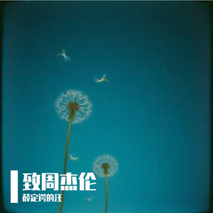 你是我的周杰伦