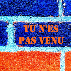 TU N'ES PAS VENU