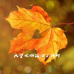 风曾吹响我心上的叶