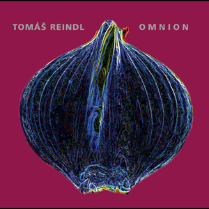 Párový tanec Šivy a Šakti / Dance of Shiva and Shakti (feat. Amit Chatterjee)