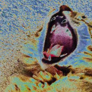 cancun (feat. J WIRELESS)