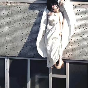去北极忘记你