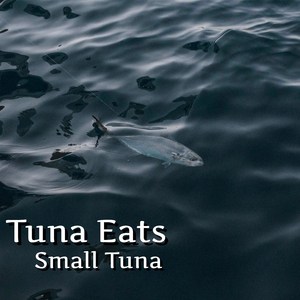 Tuna
