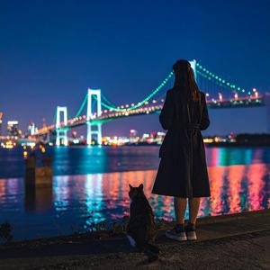 Yokohama Bay Bridge Night City Pop