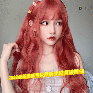 DJ国飞-2022最新重低音极品商业越南鼓舞曲（DJ国飞 remix）