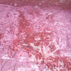 Gun$hot$ (feat. Yung P$yche) (Album Version)