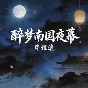 醉梦南国夜幕