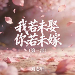 我若未娶你若未嫁(第三部)