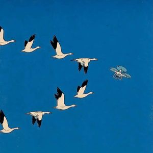 看向窗外（Prod.by Rick1y）