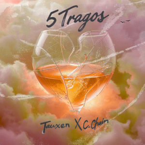 5 tragos