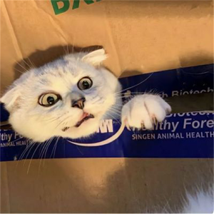 我仍在等待彩虹海的出现.