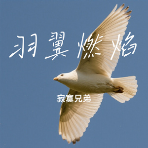 羽翼燃焰