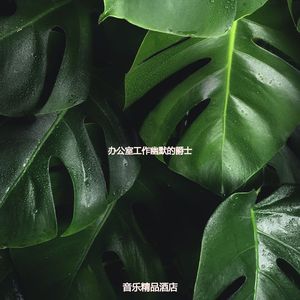 办公室工作爵士