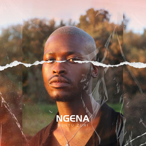 Ngena