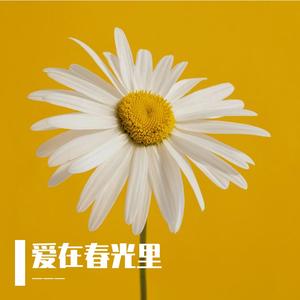 彼此都忘记 伴奏