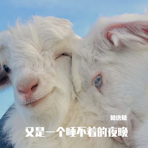 又是一个睡不着的夜晚