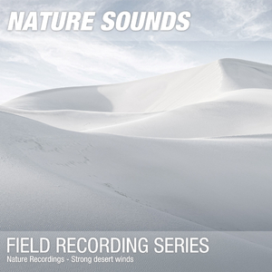 Nature Sounds for Sleep, Relaxation & Meditation (Strong desert winds) 03