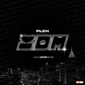 IDM