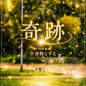 奇跡
