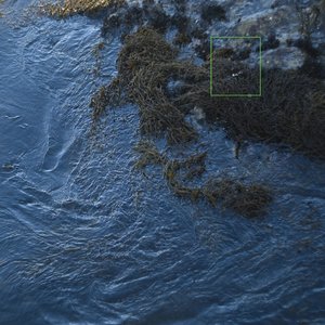 River Speaks To Neighbors