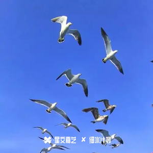 遗憾也是种好