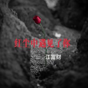 红尘中遇见了你