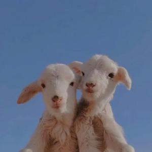 失落沙洲—瑶（翻唱）.wav