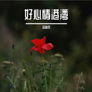 晚风余响