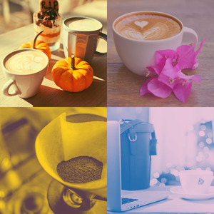 温和朋友们梦想