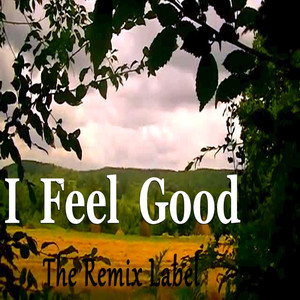 I Feel Very Good (Bass Music For Cars And Workout)