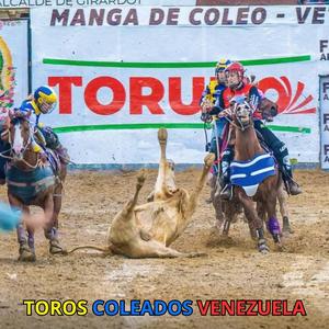 Turno 20 salida 1 del Campeonato Categoria Master (En vivo)