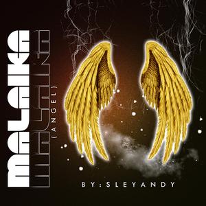 Malaika (angel) (feat. Dr ill)
