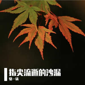 睡莲在池塘里做梦