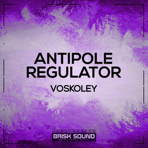 Regulator (Original Mix)