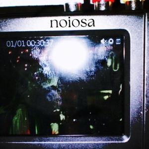 noiosa