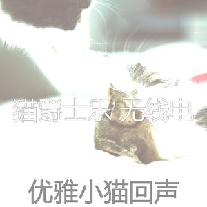 温和小猫梦想