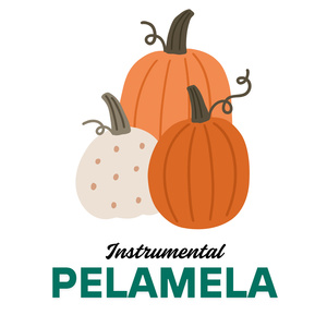 PELAMELA (Instrumental Version)