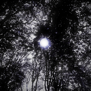 Slow Wave Sleep (Version)