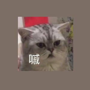 不跟你好了（翻自 大年）