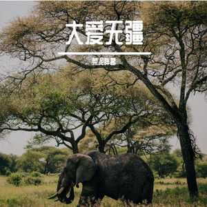 Rachel mam 带和声版