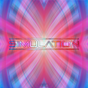 Simluation