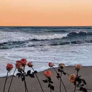 想看海【prod by Lion-狮子】