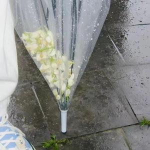 小雨天气