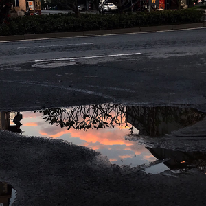 无人之岛（翻自 是你的垚）
