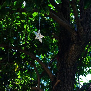 无法飞翔之翼的意义