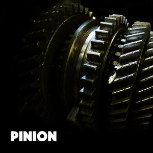 Pinion